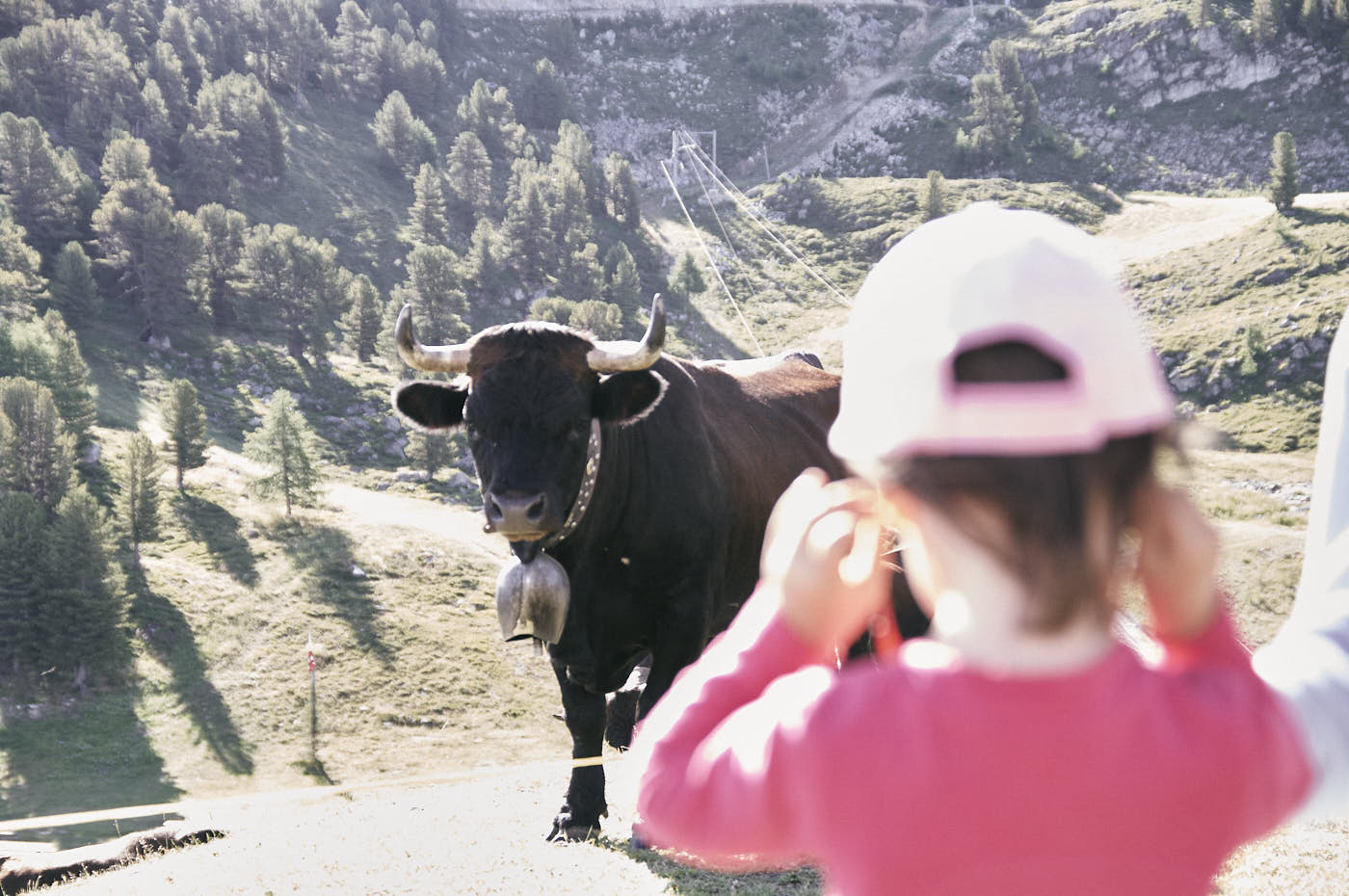 enfant avec vache d'Herens'